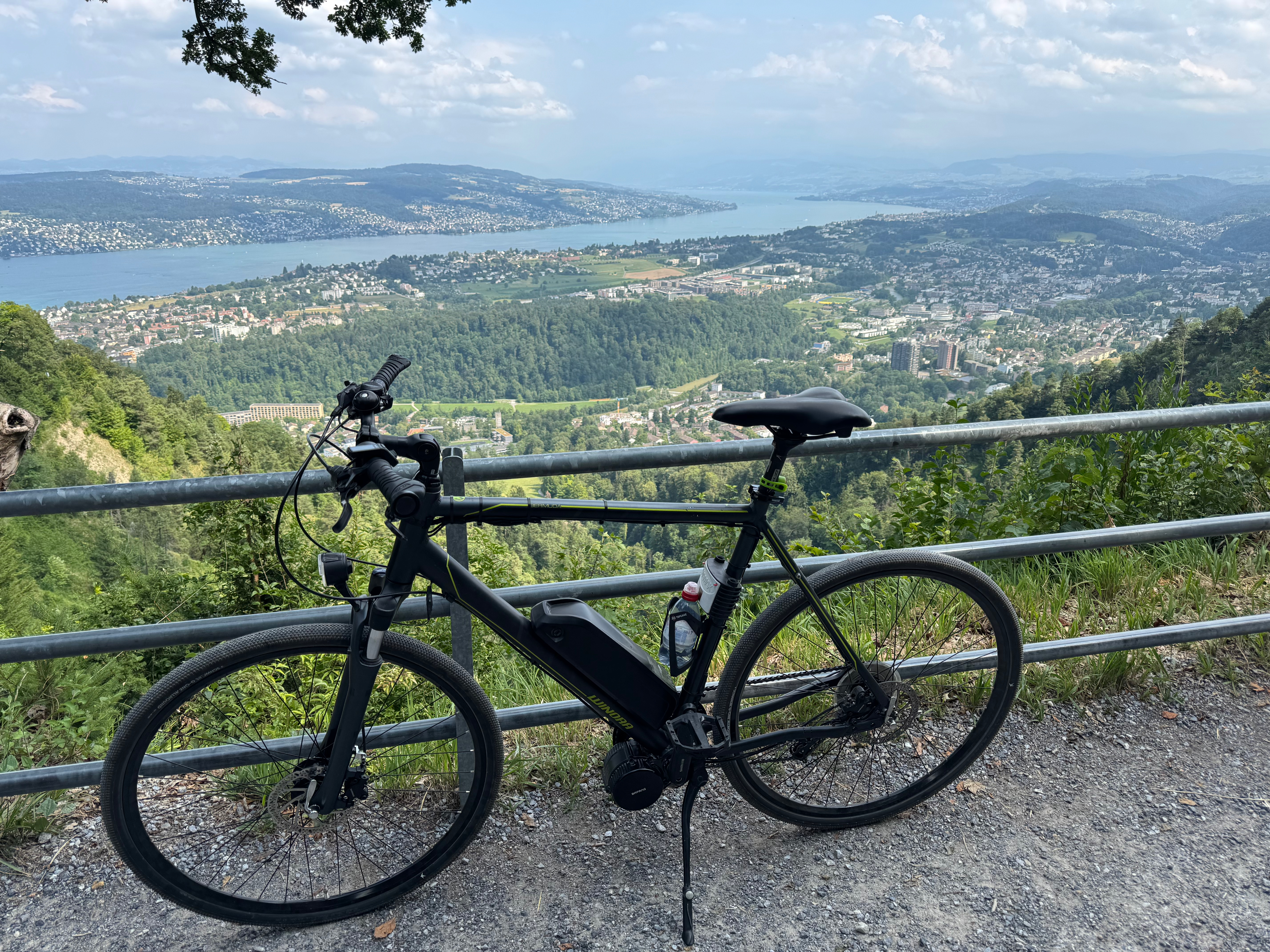 The Winora Bermuda — the base bike for this conversion